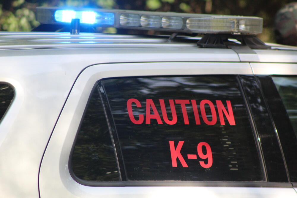 K9 Patrol Vehicle with Caution K-9 decal on window