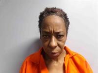 Mugshot of JOHNSON, SANDRA VERONICA