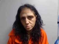 Mugshot of HOLSOMBACK, NANCY MARIE