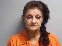 Mugshot of DUNCAN, SHELIA MARIE