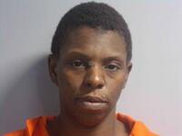Mugshot of JOHNSON, BRITNEY NICOLE